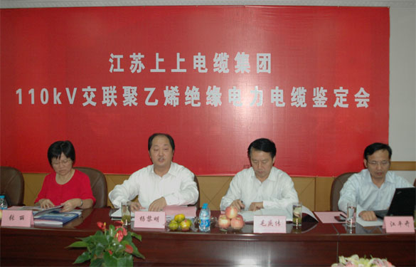 米乐n6平台额定电压110kV交联聚乙烯绝缘电力电缆产品通过鉴定
