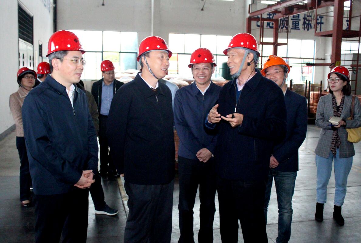 江苏省副省长马秋林一行来上上电缆调研