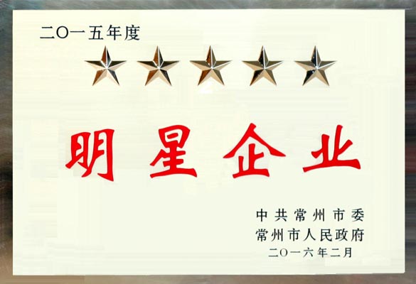 上上电缆在常州市“重大项目推进年”动员大会上再次载誉而归