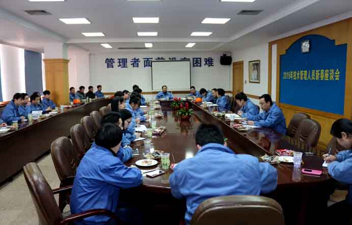 米乐n6平台召开2015年技术、管理人员新春座谈会