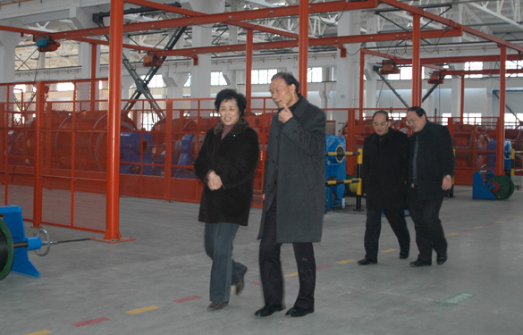 江苏省经信委副主任顾瑜芳一行来米乐n6平台调研