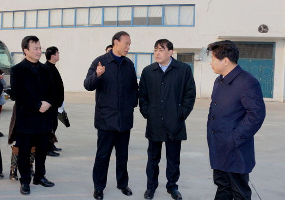 常州市市长费高云一行来米乐n6平台督查新开工项目