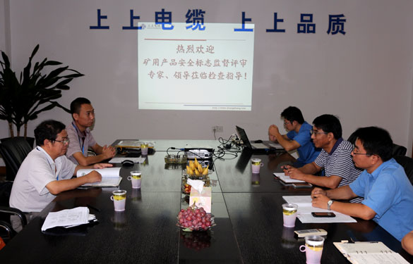 米乐n6平台顺利通过安标现场监督评审