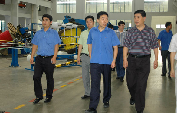 淮南市王市长一行来米乐n6平台参观考察