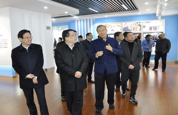 常州市长丁纯一行来上上电缆调研