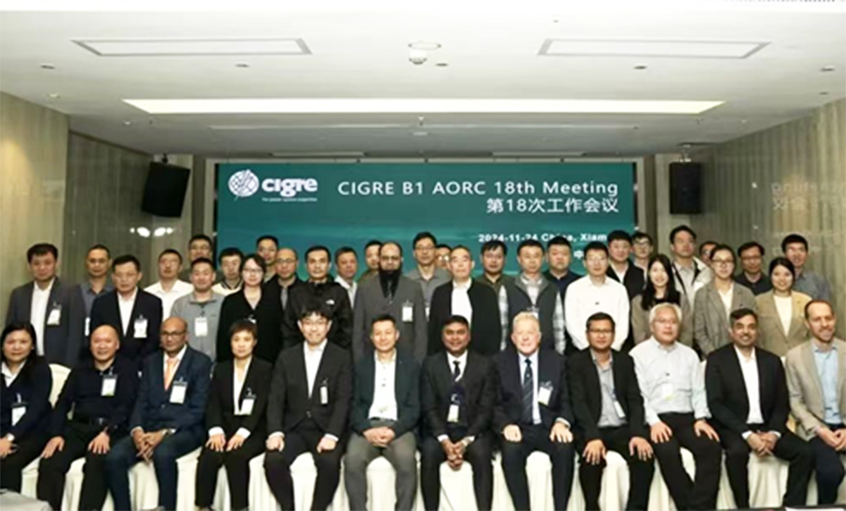 上上电缆受邀出席CIGRE绝缘电缆专委会亚太区第18次年会并做专题发言
