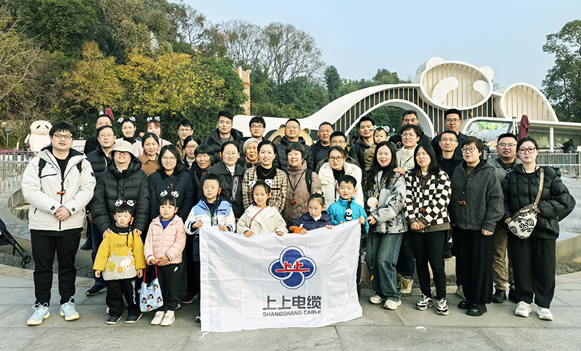 以文化润心 用关怀聚力——米乐n6平台2024年度先进员工蜀韵文化之旅圆满收官