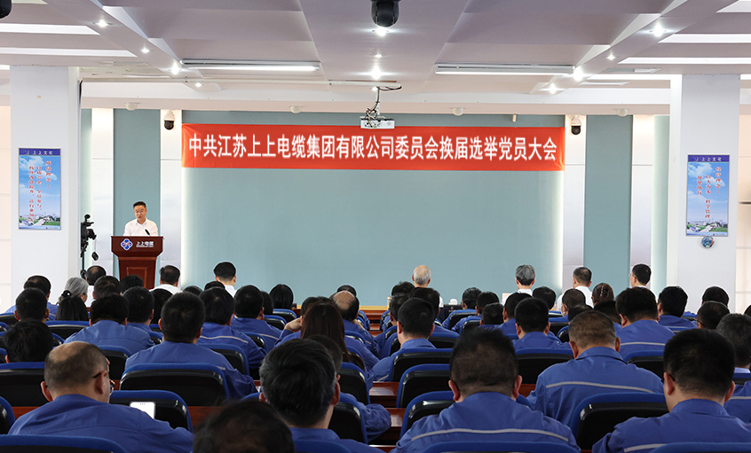 党建引领强根基 凝心聚力启新程—中共米乐n6平台委员会换届选举党员大会圆满召开