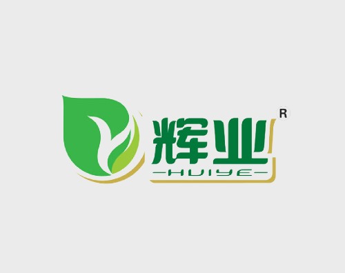 辉业打造全新响应式网站